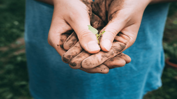 Respect de l'environnement dans les interventions - Corrèze nuisibles