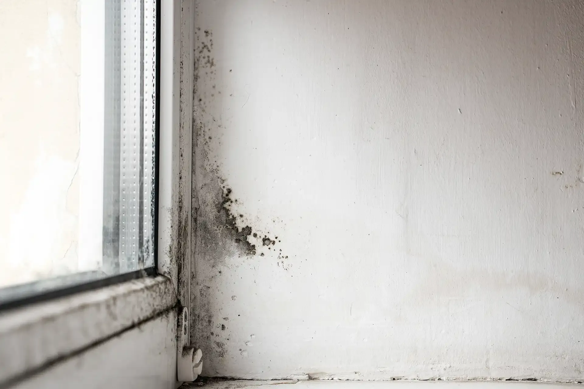 Mur humide : que faire et comment le traiter durablement ?